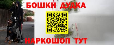 твердый Будённовск