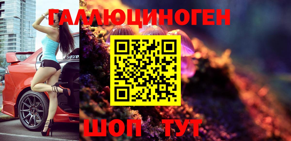 Галлюциногенные грибы Cubensis Солнечногорск