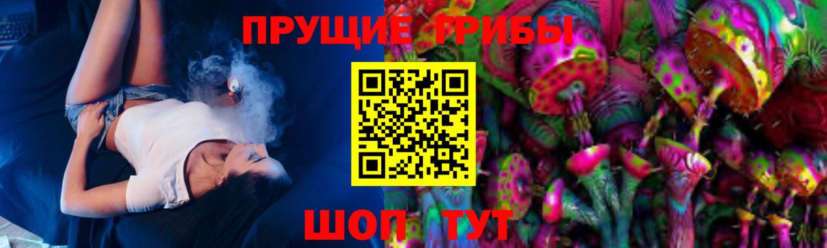 Галлюциногенные грибы Psilocybe  где купить наркоту  Солнечногорск  Вход с VPN 